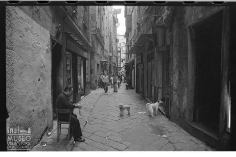 Scorcio di Genova