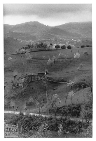 Veduta dei colli di Marostica