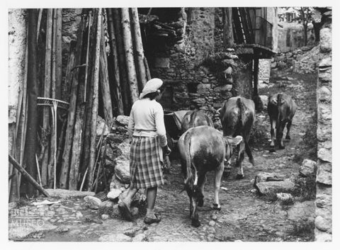 Scena di vita quotidina in Valtellina