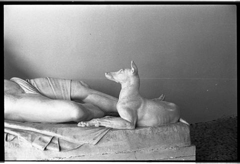 Il modello in gesso di Endimione dormiente di Antonio Canova nella casa natale dello scultore a Possagno