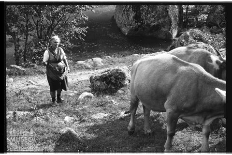 Scena di vita quotodiana in Val Masino