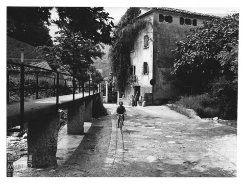 Scorcio di Porcino