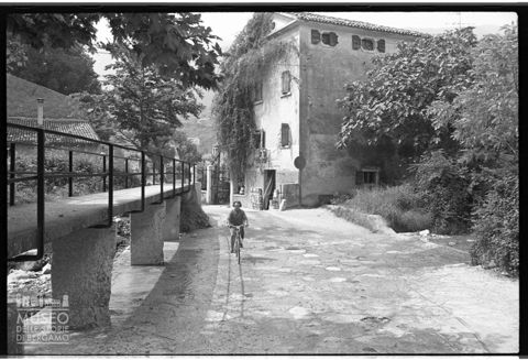 Scorcio di Porcino