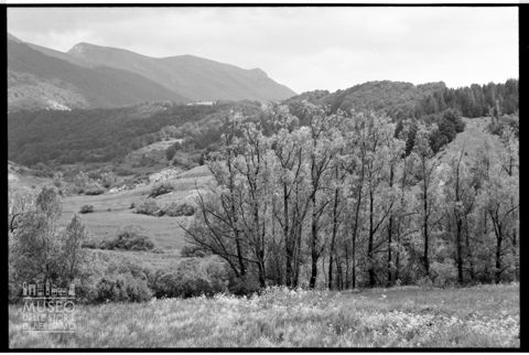 Bosco di Sant'Antonio in Abruzzo