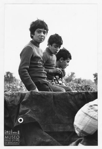 Vendemmia nei dintorni di Avetrana