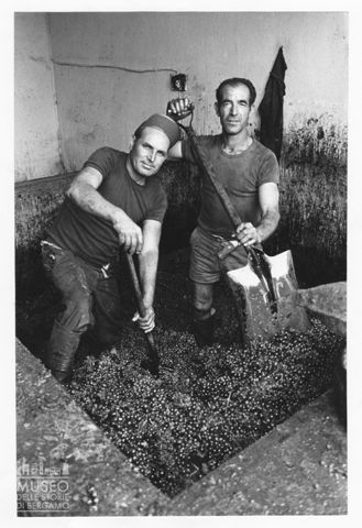 Lavori in una cantina a Manduria