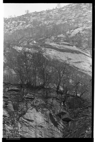 Paesaggio con castagni in Valle Spluga