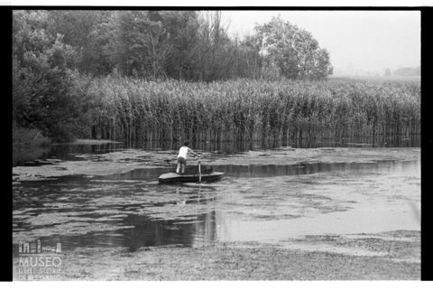 Scena di vita quotidiana nel Lago di Mezzola