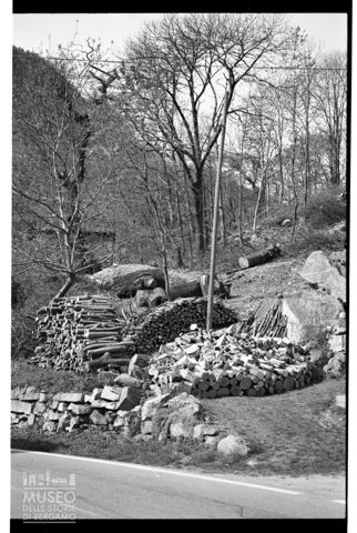 Legname accatastato in Valchiavenna
