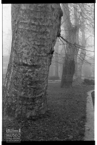 Scorcio del parco di Chiavenna