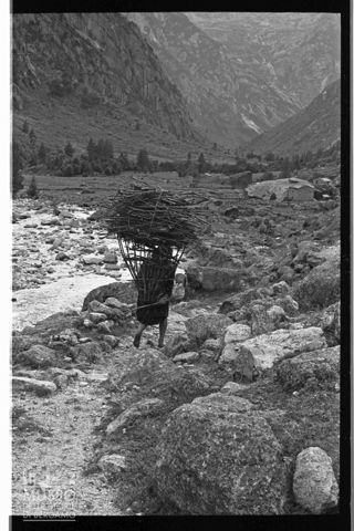 Tra la Val Masino e la Val di Mello