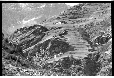 L'alpeggio di Albareda in Valmalenco