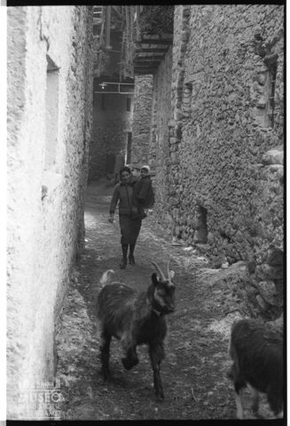 Scena di vita quotidiana in Valmasino
