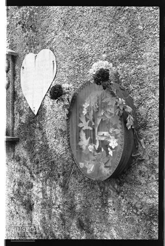 Nel cimitero di Rogolo