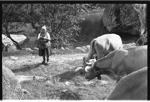 Scena di vita quotidiana in Val di Mello