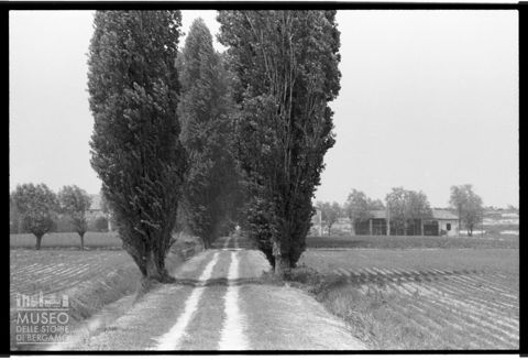 Paesaggio agreste a Rovigo