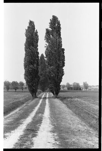 Paesaggio agreste a Rovigo