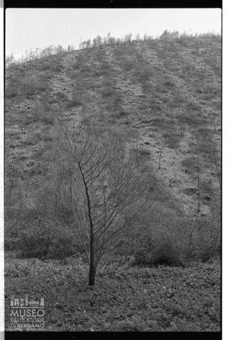 Scorcio paesaggistico del Piano di Annifo