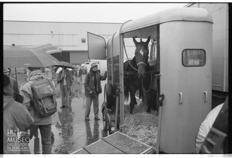 La Fieracavalli a Verona