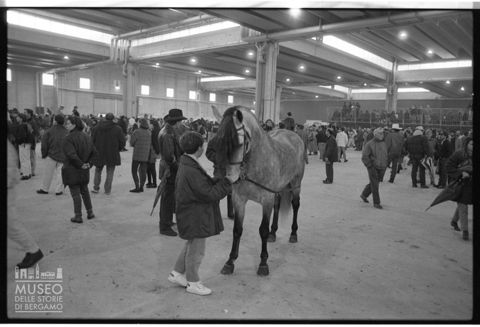 La Fieracavalli di Verona