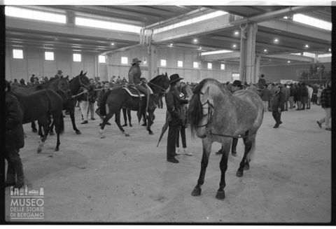 La Fieracavalli di Verona