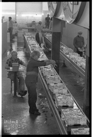 Asta al Mercato Ittico di Civitanova Marche