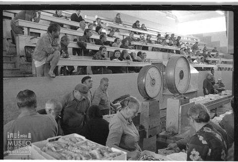 Asta al Mercato Ittico di Civitanova Marche