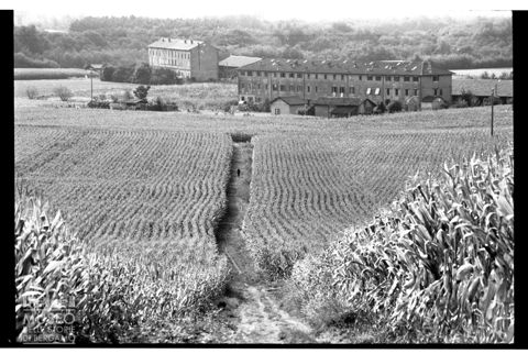 Campi con cascine a Usmate Velate
