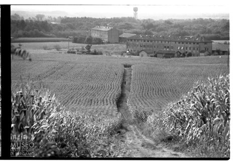 Campi con cascine a Usmate Velate
