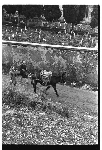 Scena di vita quotidiana a Piglio