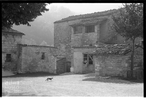 Nei pressi dell'abbazia di San Vincenzo al Furlo