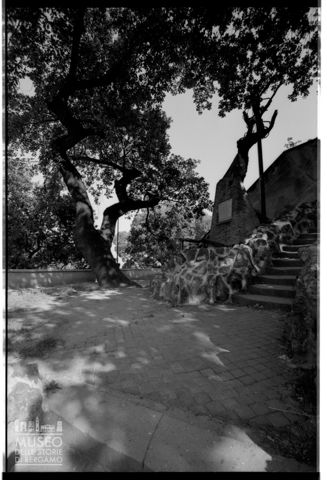 La Quercia del Tasso a Roma