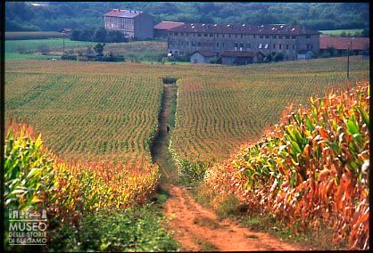 Campi con cascine a Usmate Velate