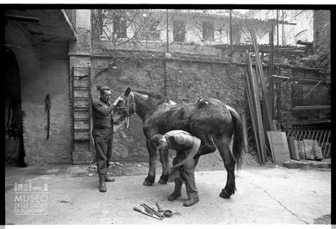 Ferratura degli zoccoli di un cavallo presso la bottega 