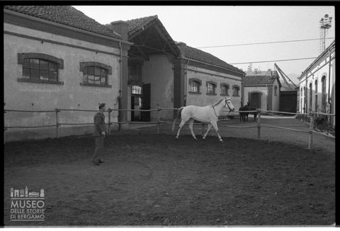 La Scuola Militare di Cavalleria di Pinerolo