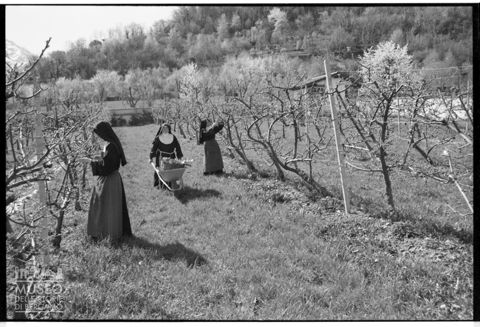 Monache al lavoro nel Monastero di Santa Chiara a Boves
