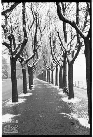 Viale alberato a Lecco