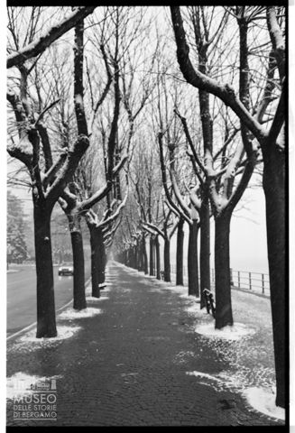Viale alberato a Lecco