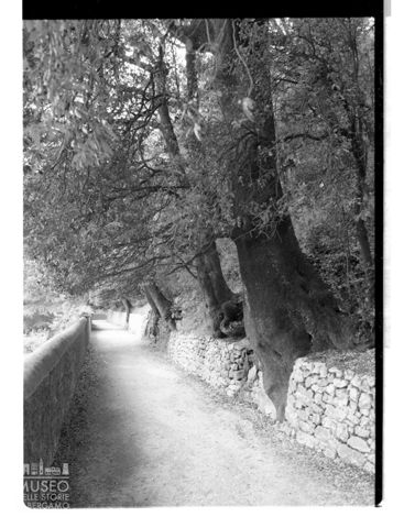 Un viale dell'Eremo delle Carceri ad Assisi