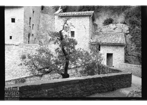 Il leccio di San Francesco presso l'Eremo delle Carceri ad Assisi