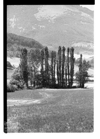 Campagna nei dintorni di Colfiorito