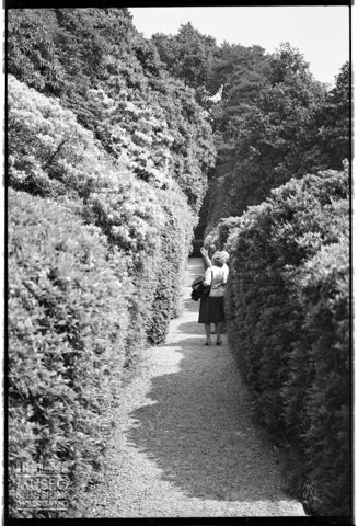 Il parco della Villa Carlotta a Tremezzina