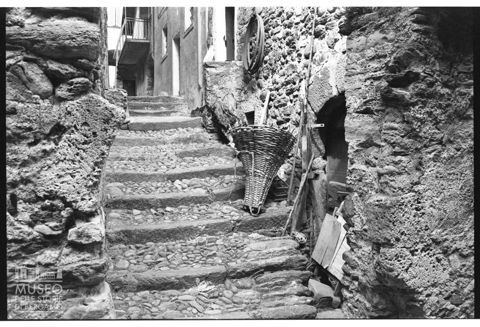 Scorcio di Corenno Plinio