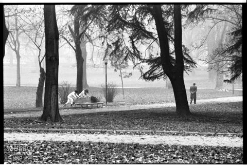 Il Parco Alessandrina Ravizza a Milano