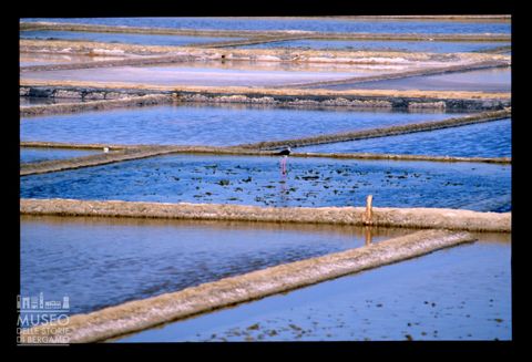 La Salina Camillone a Cervia