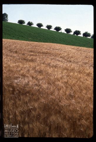Paesaggio agreste