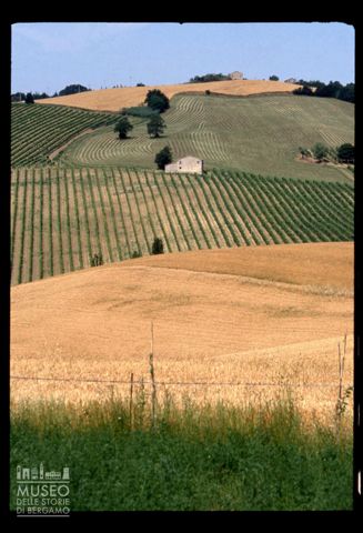Le colline coltivate di Verucchio
