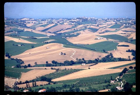 Le colline coltivate di Montecarotto