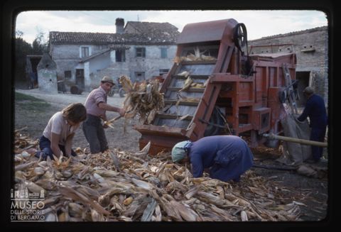 Spannocchiatura in una cascina a Santa Maria Nuova