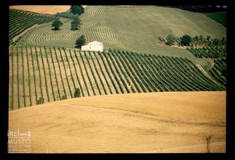 Le colline coltivate di Verucchio